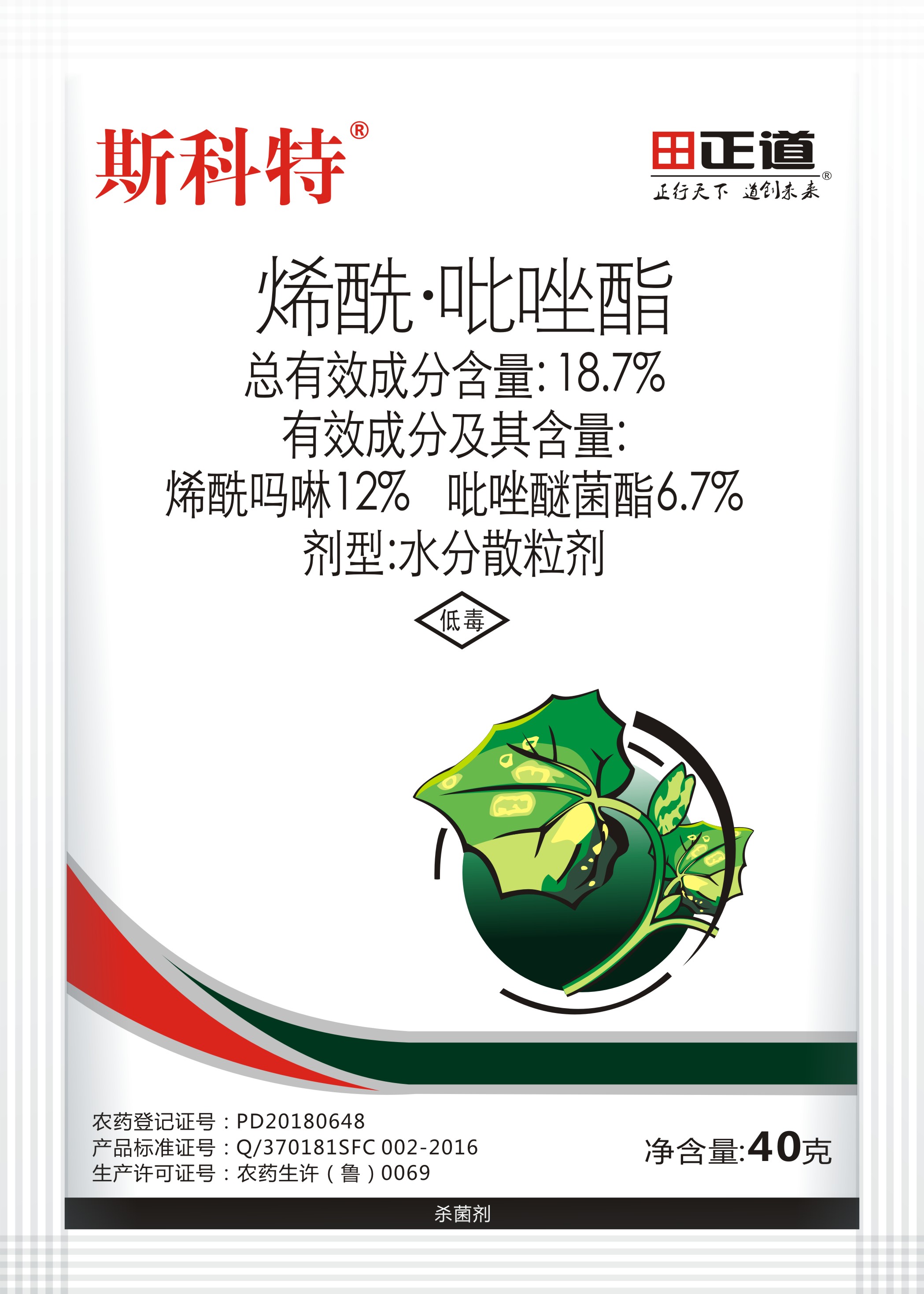 斯科特