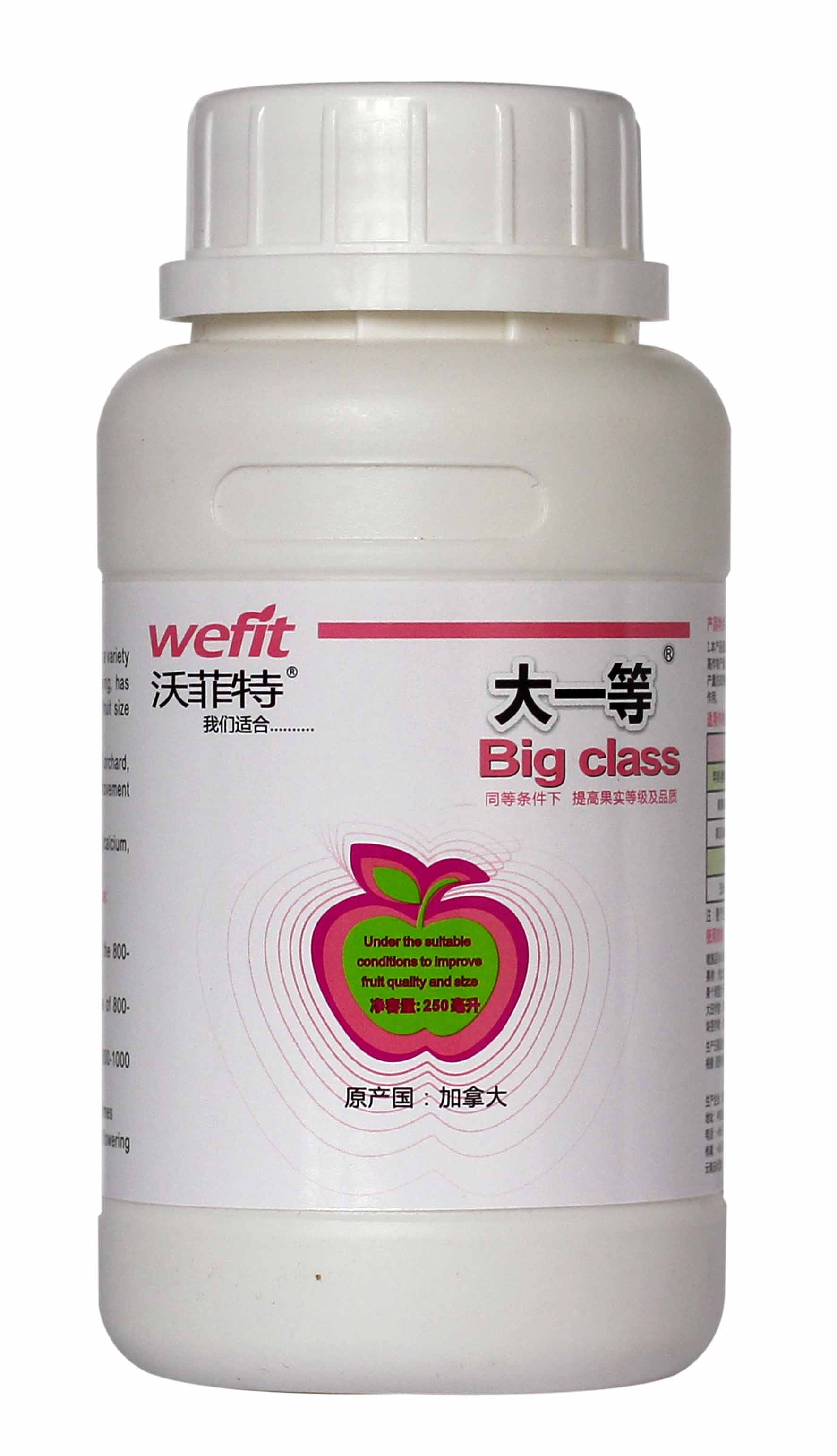大一等