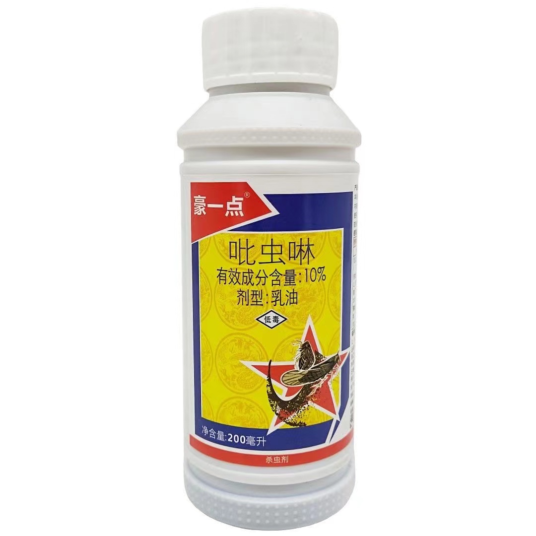豪一点