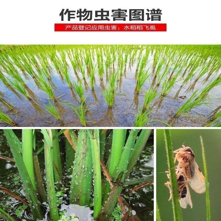 优捕