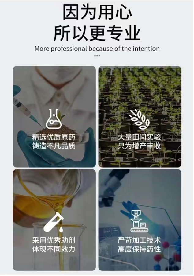 因为用心 所以更专业