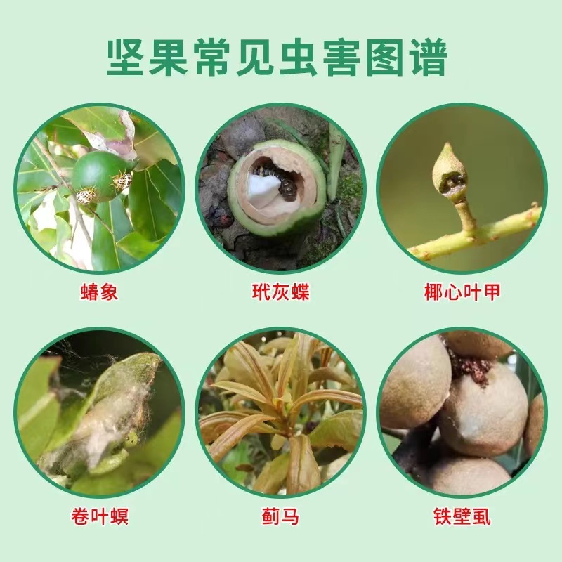 其他 (2)