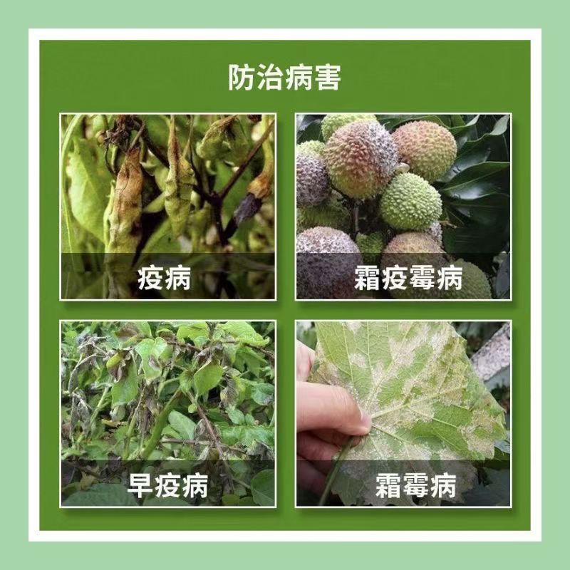 其他 (3)