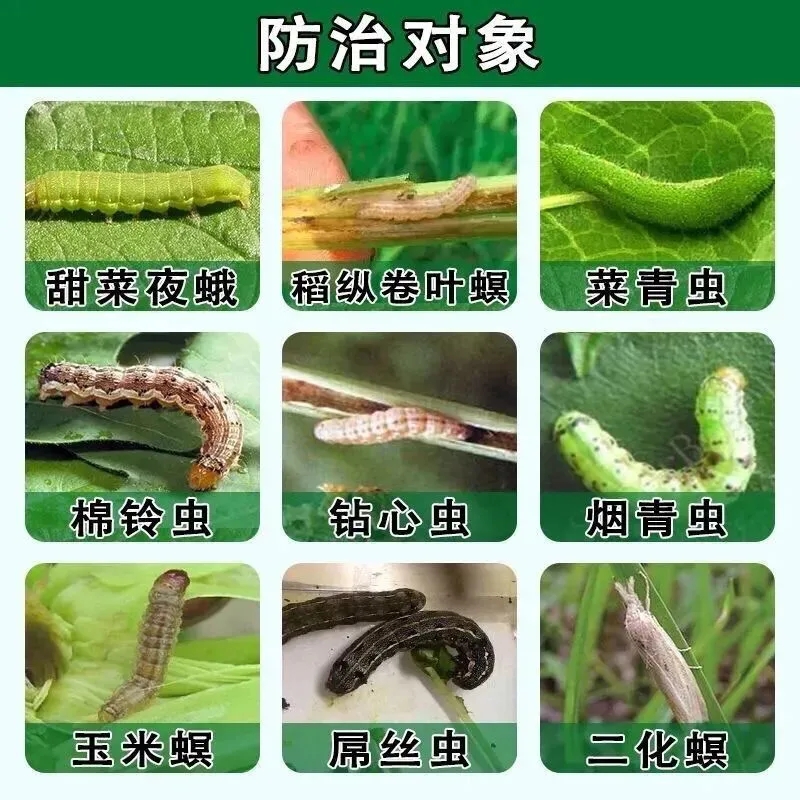 其他 (5)