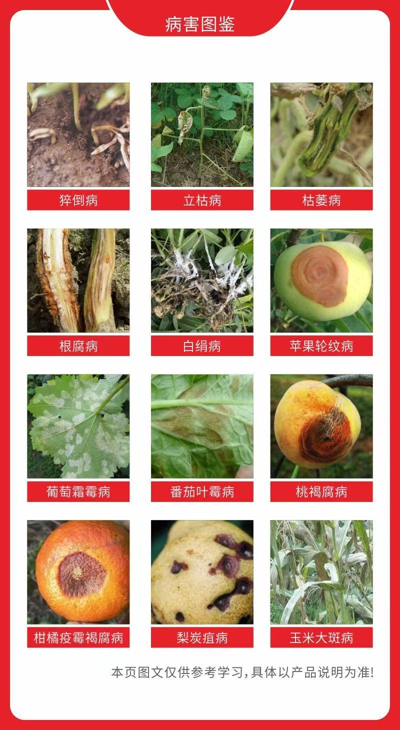 其他 (6)