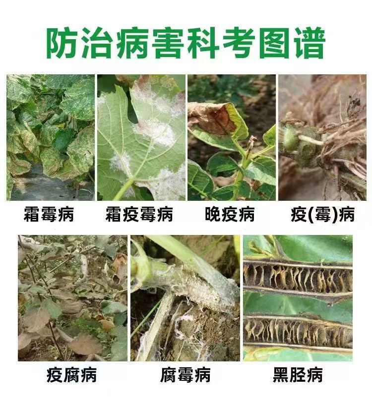 其他 (7)