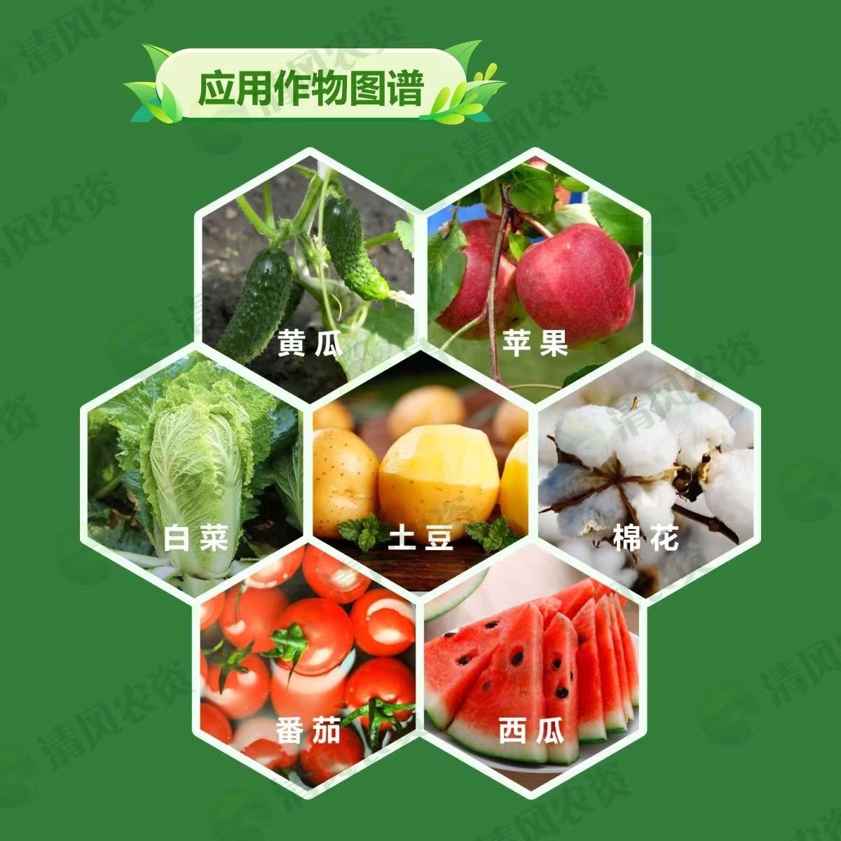 其他 (10)