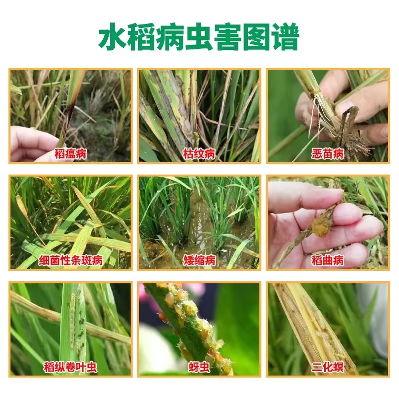 其他 (11)