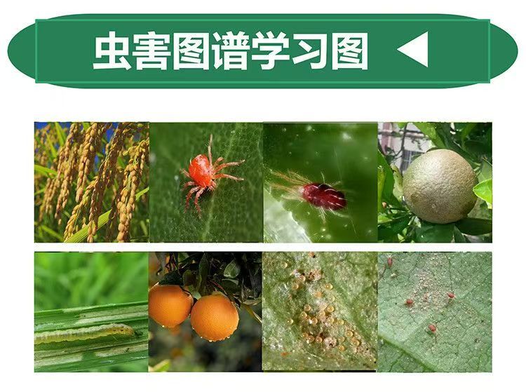 其他 (12)