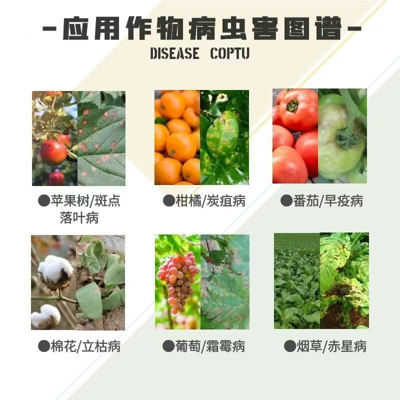 其他 (13)