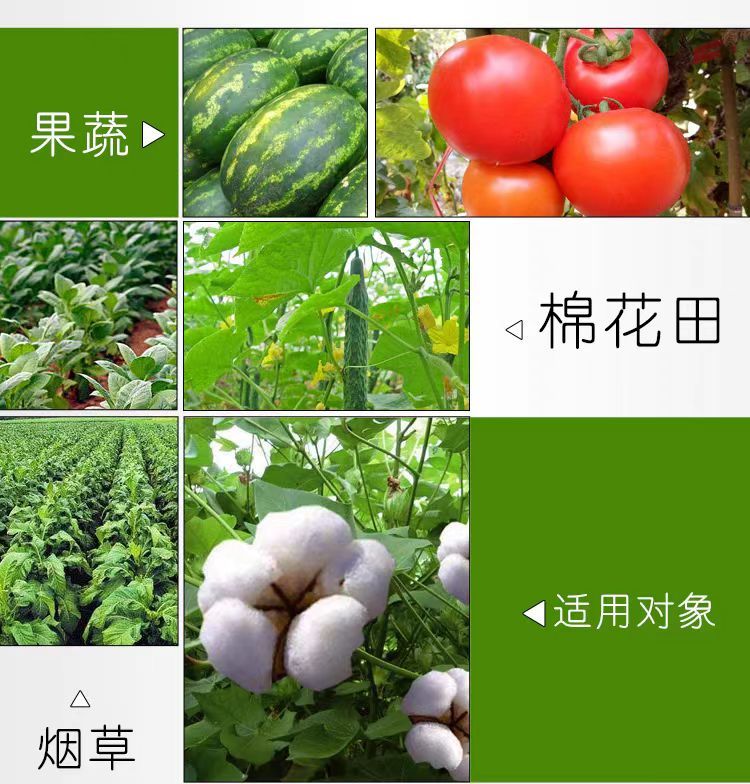 其他 (14)