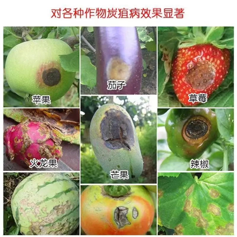 其他 (16)