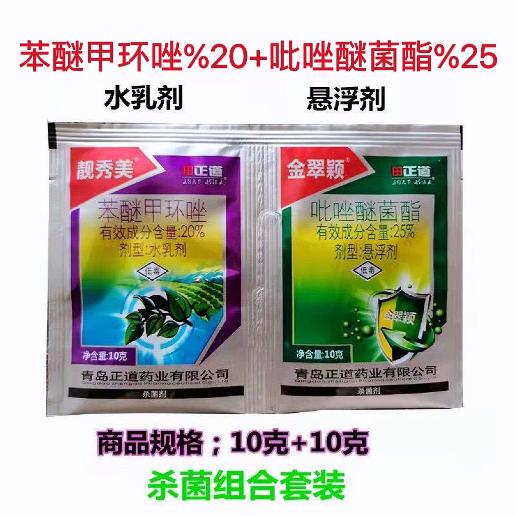 靓秀美 金翠颖