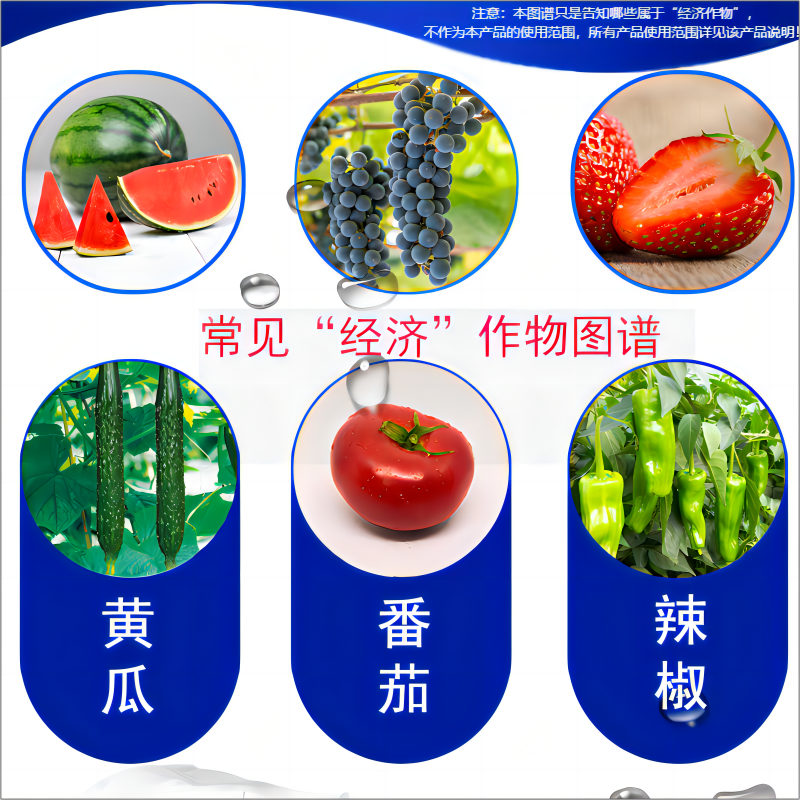 常见经济作物图谱